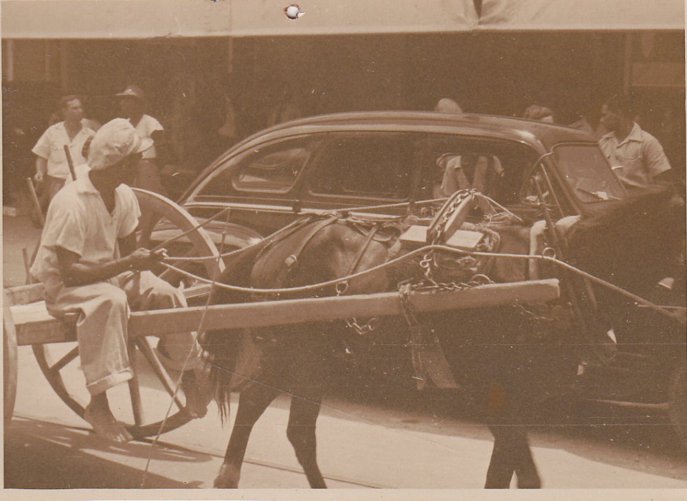 Arklio traukiamas vežimas miesto gatvėje. Brazilija, apie 1946–1950 m.