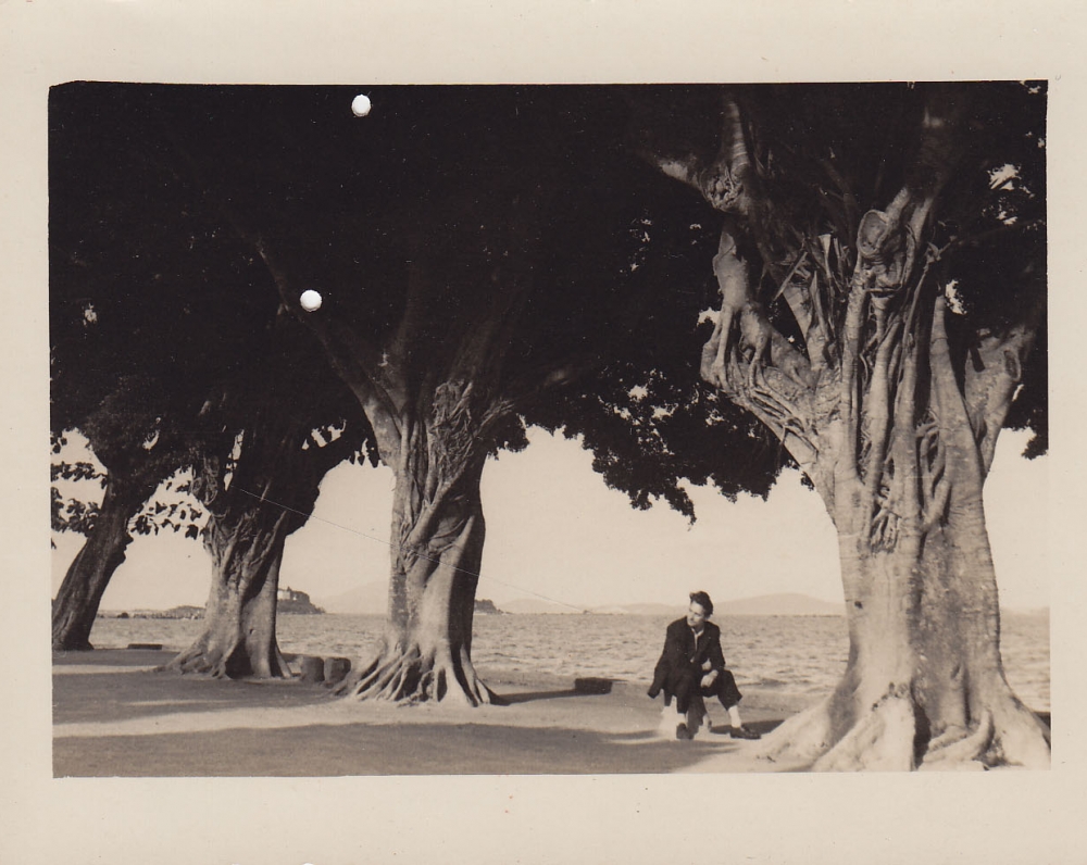 Seni medžiai jūros pakrantėje. Brazilija, apie 1946–1950 m.