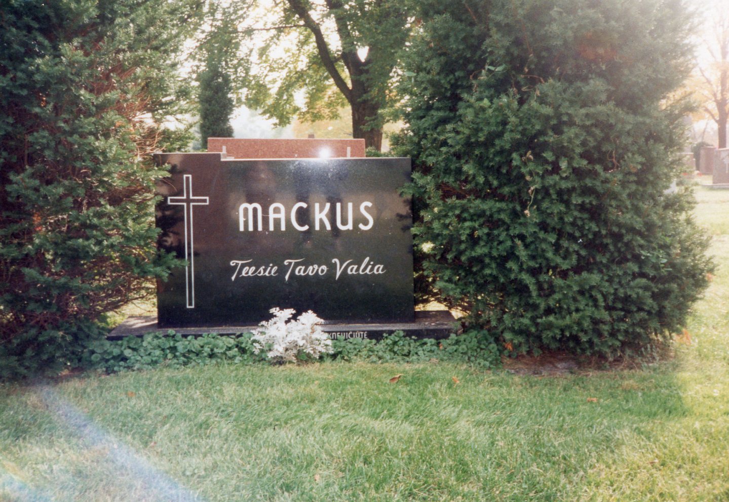 A. Mackaus kapas Šv. Kazimiero kapinėse, Čikagoje. MLLM 92433