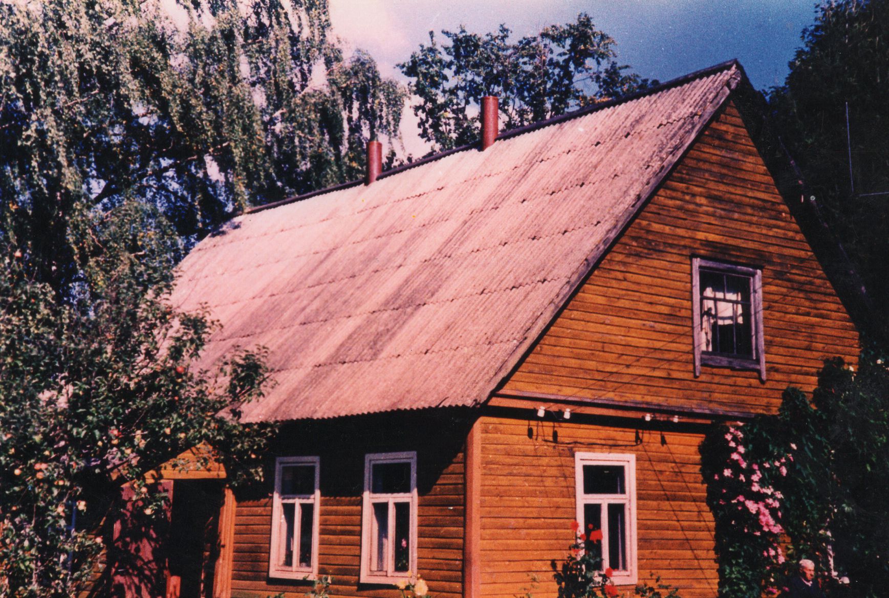 P. Andriušio namai Gaidžių kaime. Apie 1980 m. A. Gasperaičio nuotrauka. MLLM P52367