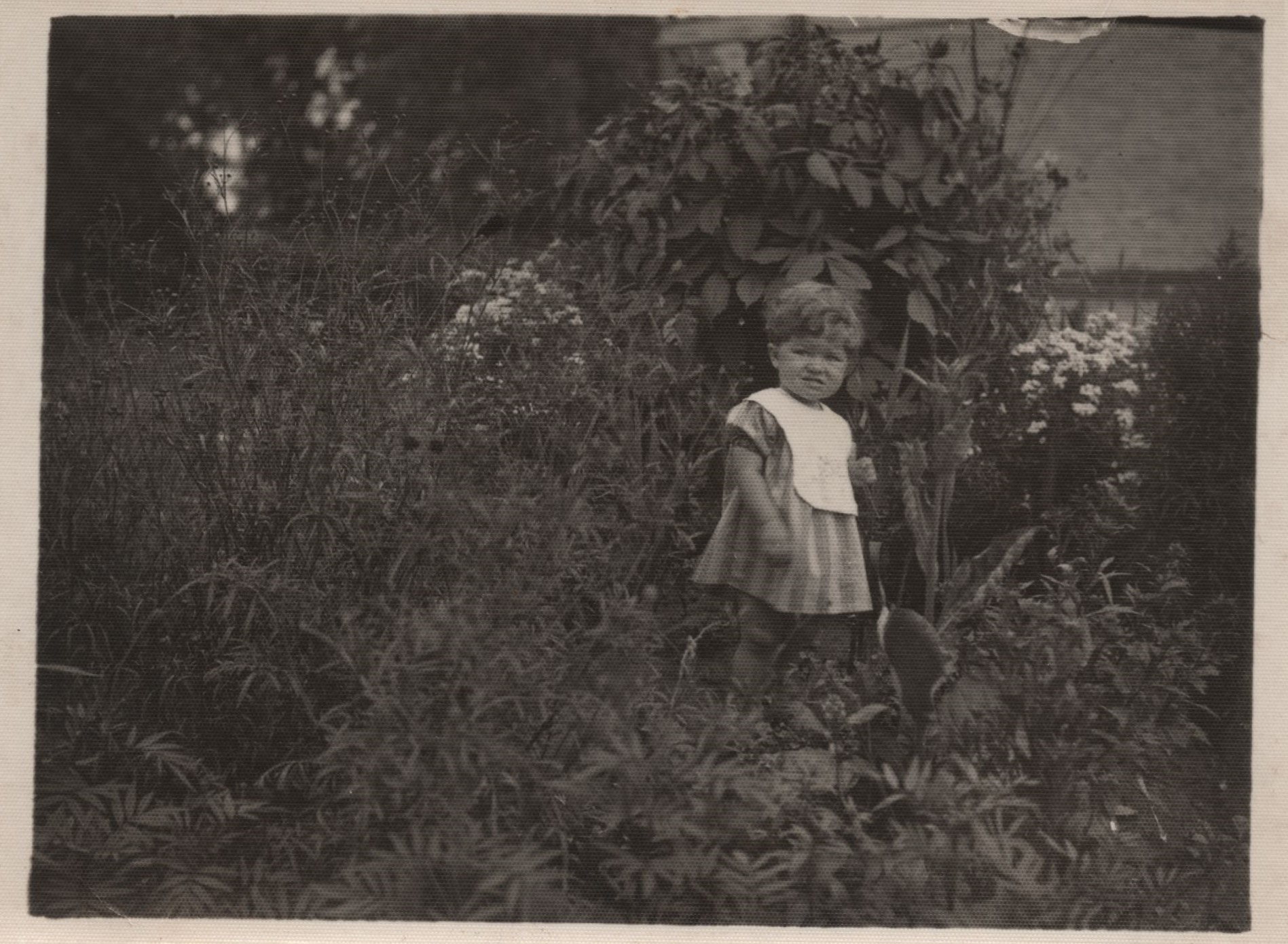 Vaikystėje tarp žolynų. 1933 m. MLLM 49948