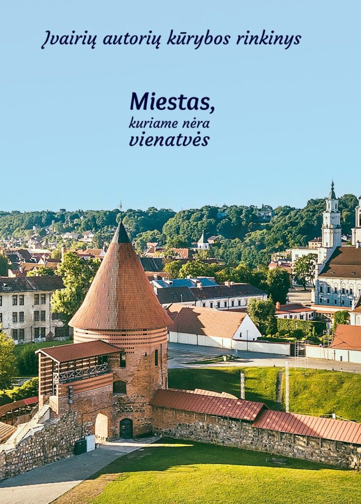 KŪRYBOS RINKINIO „MIESTAS, KURIAME NĖRA VIENATVĖS“ SUTIKTUVĖS