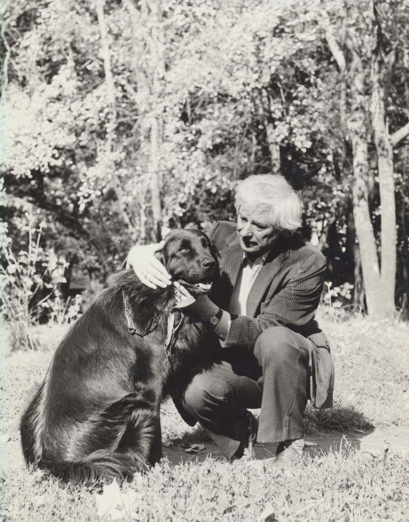 J. Avyžius ir jo ilgametis bičiulis bei palydovas, niūfaundlendų veislės šuo Bardas. Apie 1985 m. J. Grikienio nuotrauka. MLLM 90525