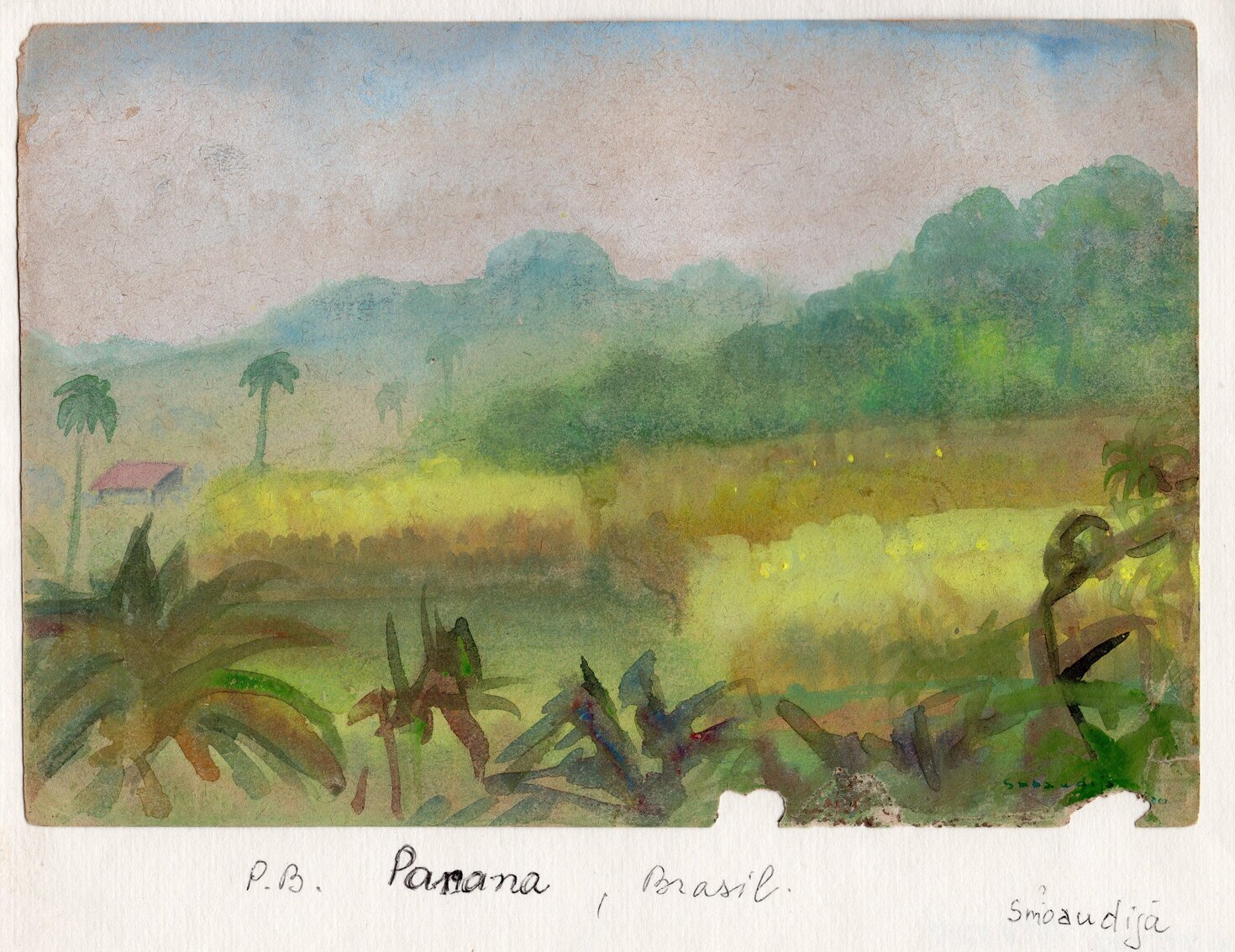 Parana. P. Babicko piešinys.  Brazilija, apie 1949 m. MLLM 98206