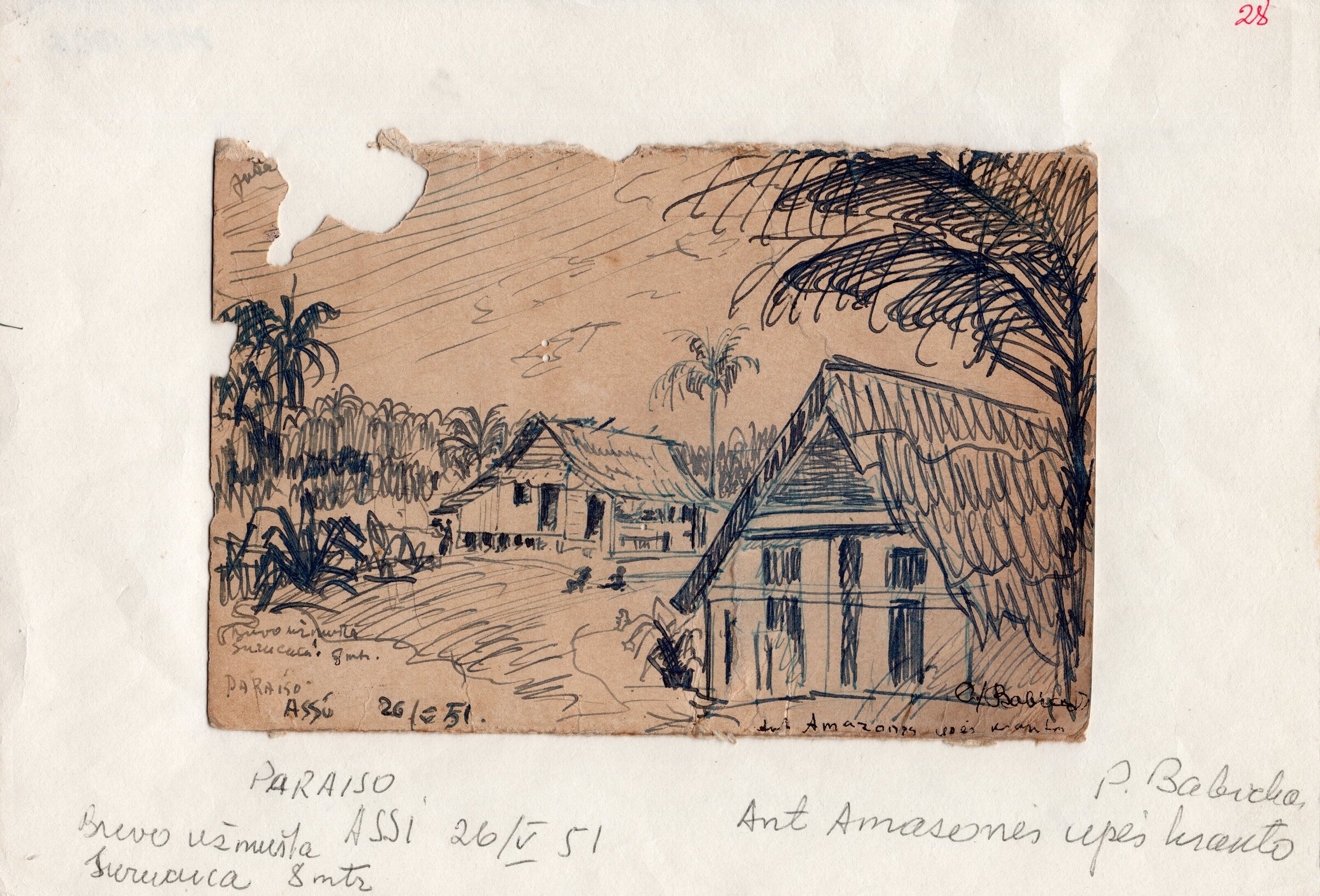 Ant Amazonės upės kranto. P. Babicko piešinys. Brazilija, 1951 m. gegužės 26 d. MLLM 98213