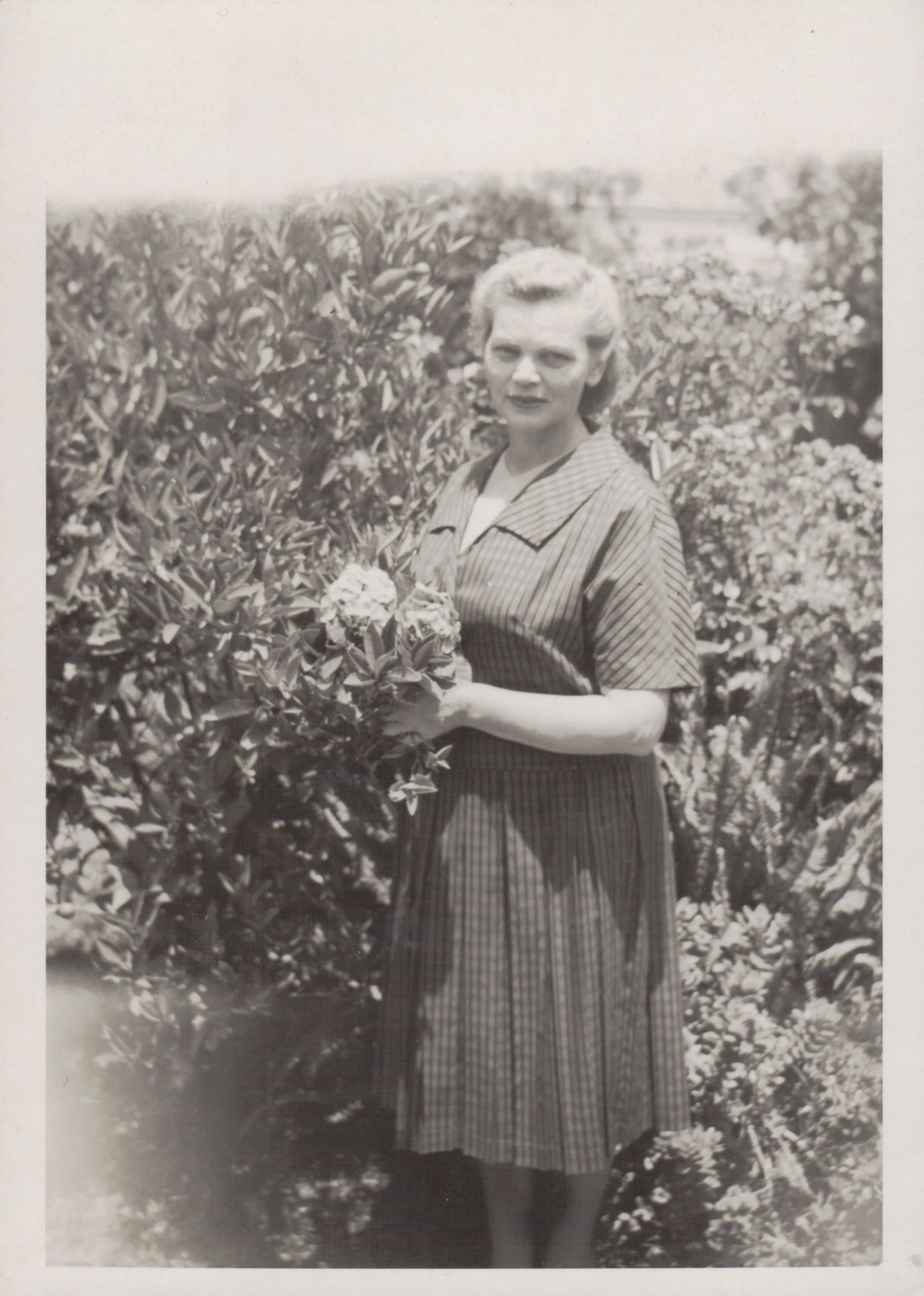 M. M. Mykolaitytė-Slavėnienė savo sode. Sydnėjus. 1964.12.26. MLLM 121431 / F1 23781