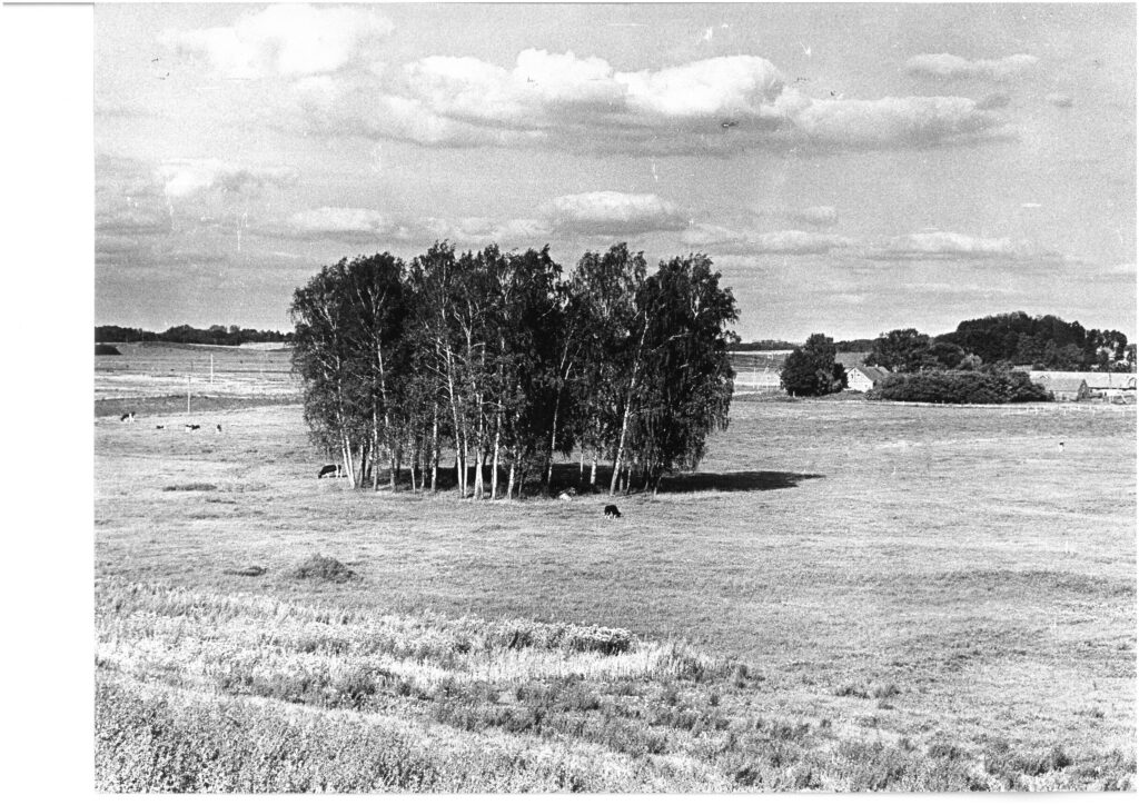 K. Borutos tėviškė – Kūlokų kaimas, apie 1984 m. Nuotr. R. Rakausko. MLLM_40451