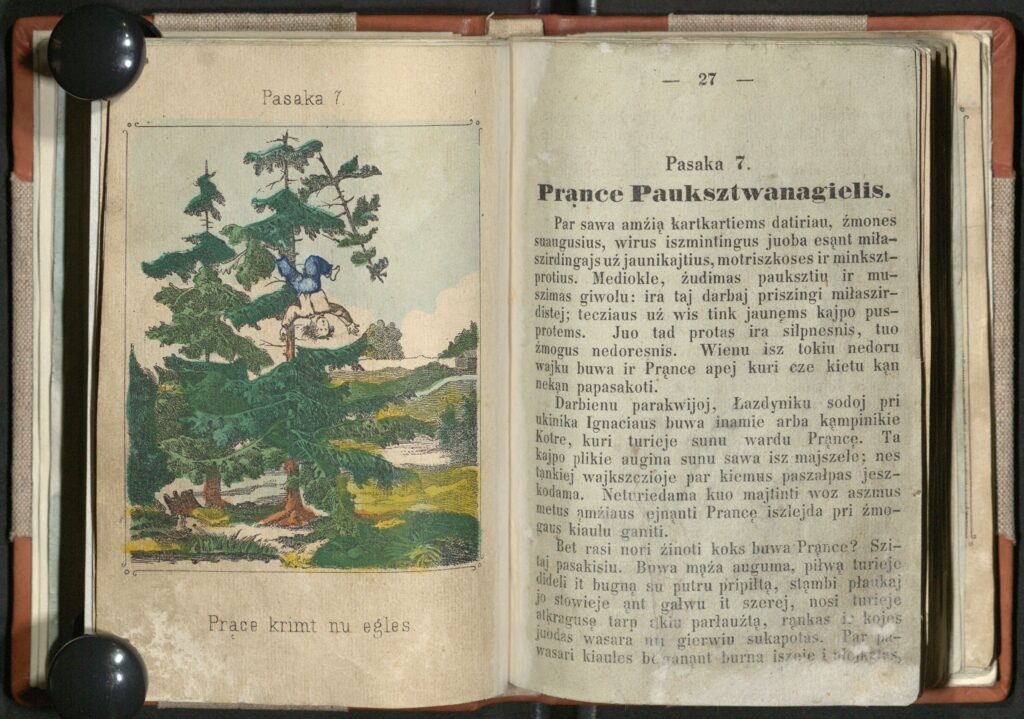 M. Valančius. Wajku kningiele. Su abrozdelejs. Tilžė, 1868 m. MLLM 25984