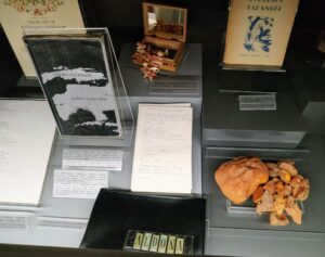 Lietuvių literatūros istorijos ekspozicija