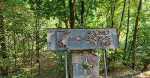 Adomo Mickevičiaus slėnis Kaune. Foto Ramūno Guigos. 2023 m.