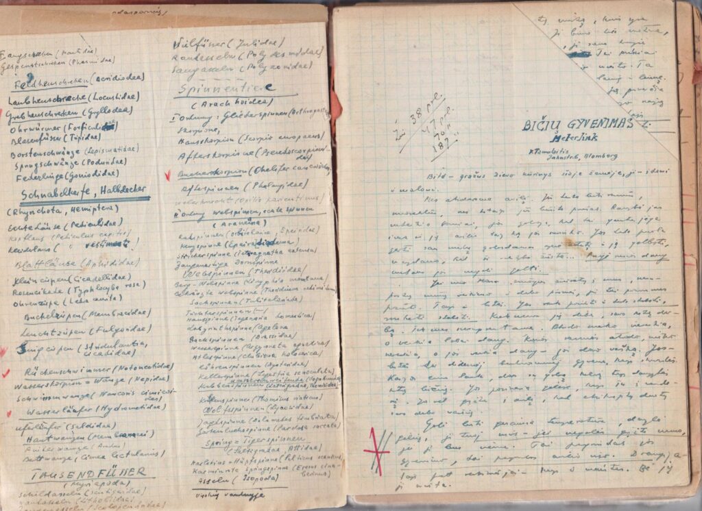 Knygos „Auksinė pasaka“ sąsiuvinio lapų įklija. MLLM 38187
