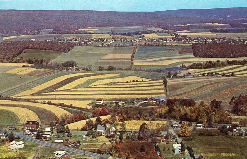 V. Būtėno laiškas-atvirlaiškis A. Baronui. Šenandoa, 1972-05-06, MLLM P49838