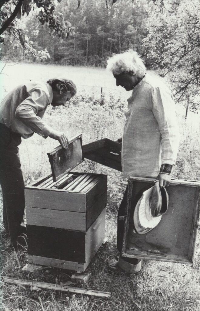 Su netoliese gyvenusiu poetu A. Bernotu prie avilių. Prūdiškių km., 1984 m. MLLM 76025