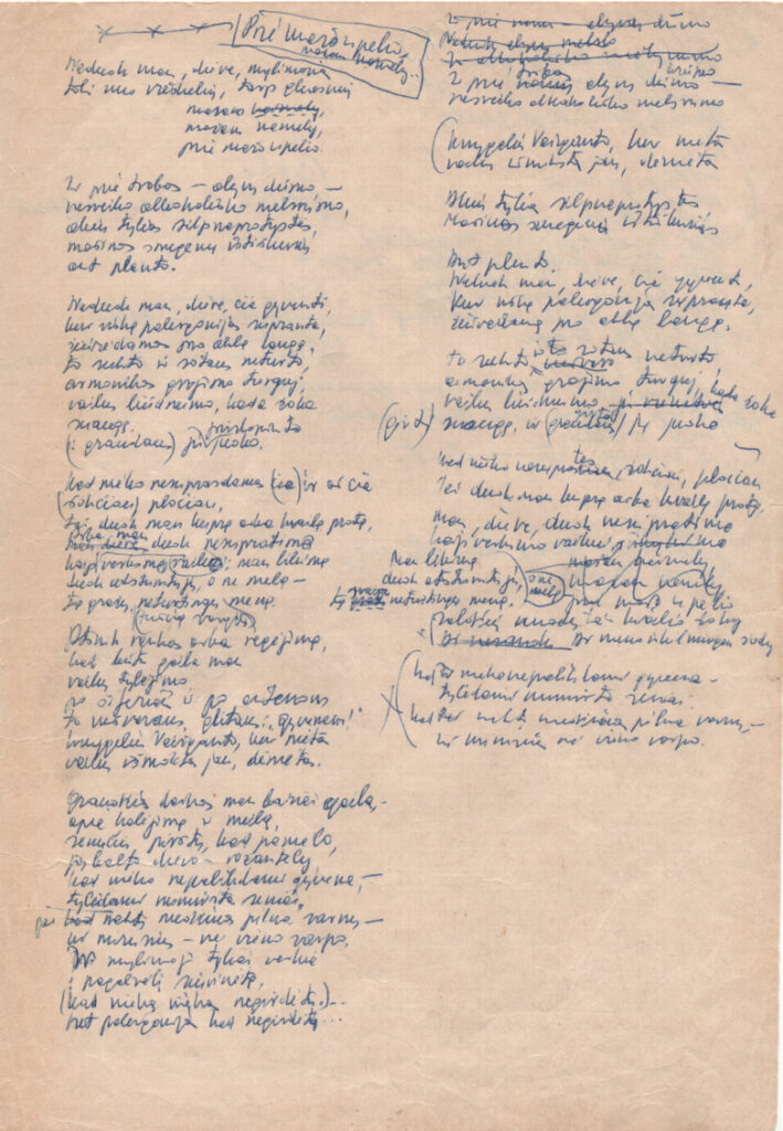 Poeto rankraštis