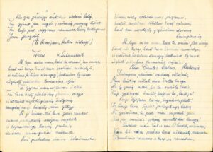 APIE POETĖS J. DEGUTYTĖS GIMNAZISTIŠKUS METUS