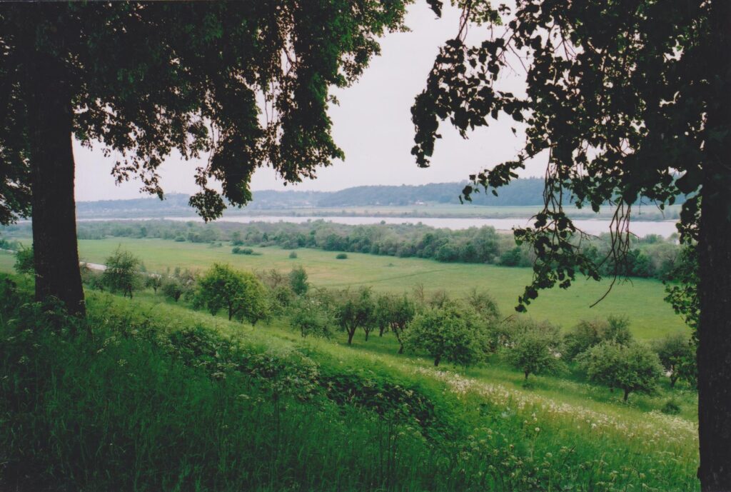 Tamulaičių sodas ant skardžio, 2003-06-06. MLLM 83788