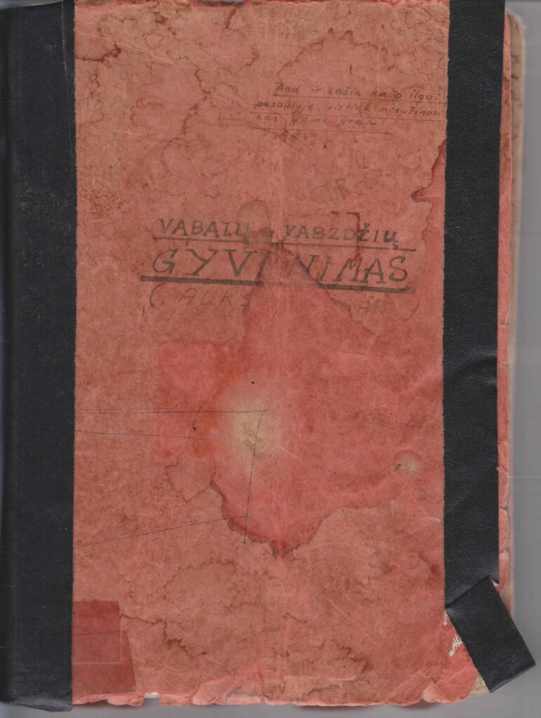 Knygos „Auksinė pasaka“ juodraštis. Viršelis. MLLM 38187