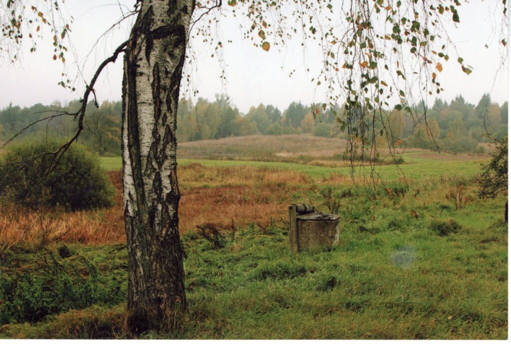 A. Maldonio tėviškė – Naujaplentės kaimas Alytaus rajone. 2008 m. Fotografas Z. Baltrušis