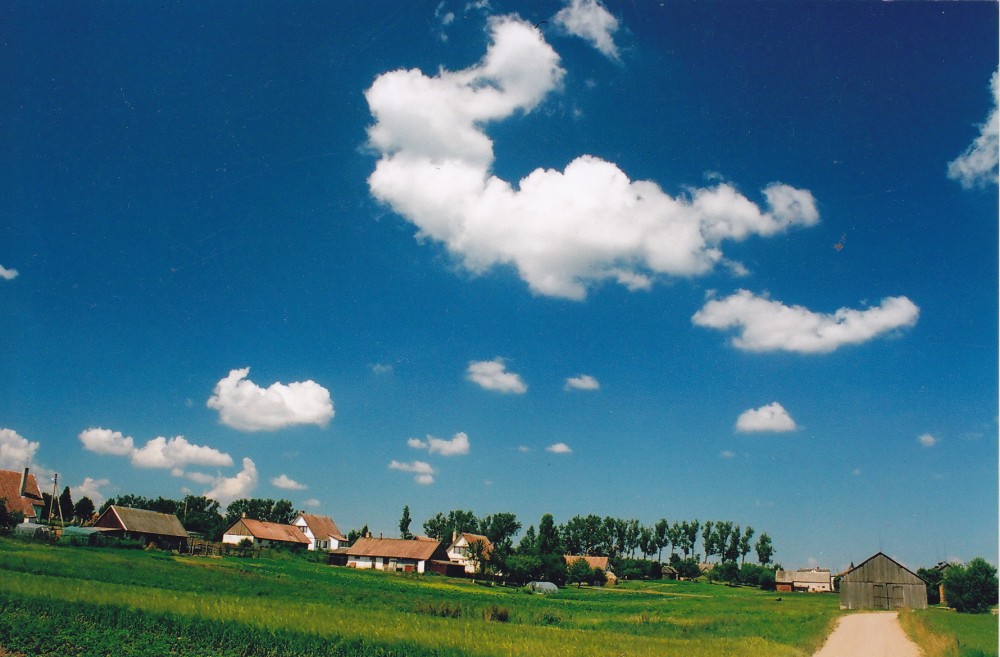 Gimtasis Gustaičių kaimas, Marijampolės r. 2005 m. Nuotrauka Z. Baltrušio