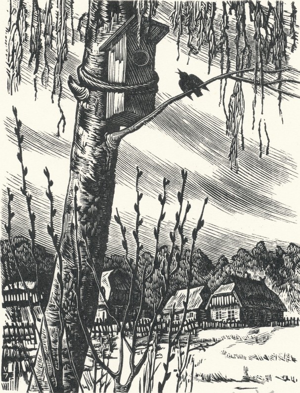 Iliustracija K. Donelaičio „Metams“. Dail. Vytautas Jurkūnas. 1956 m..