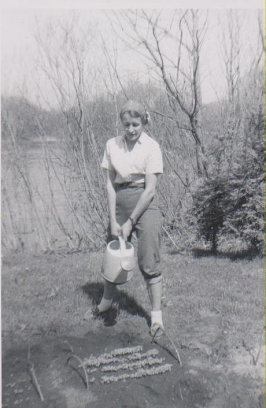 JAV, 1959 m.