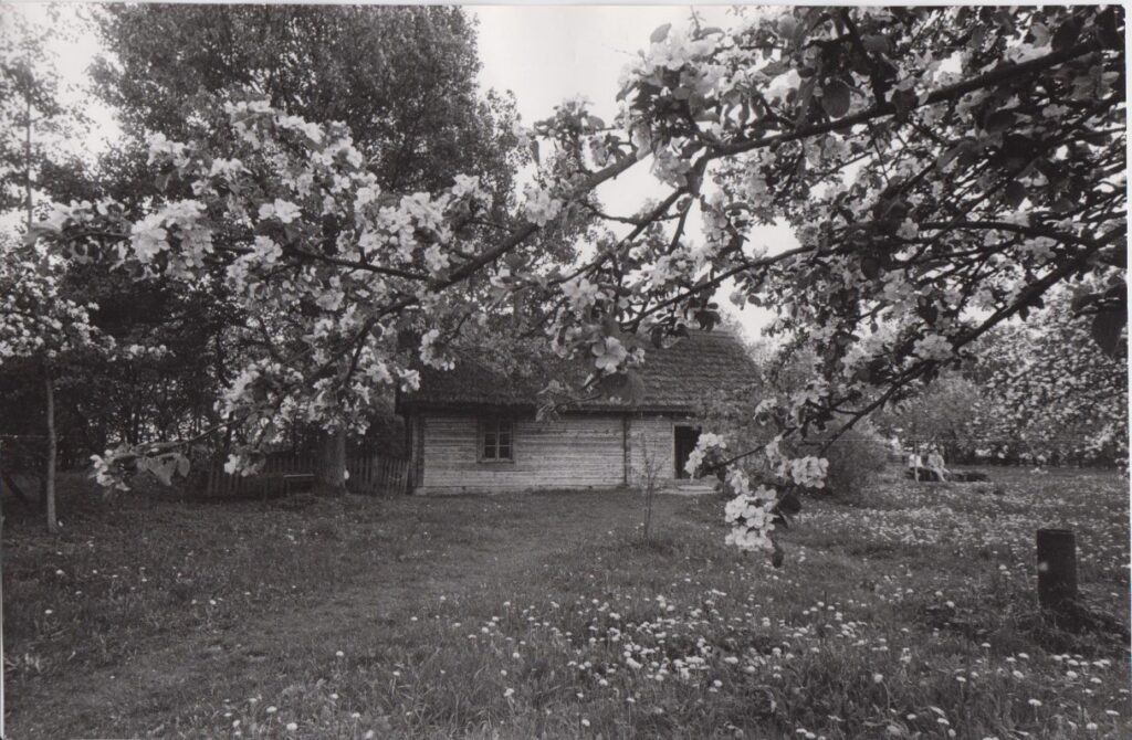 Klangiai. R. Rakausko nuotrauka