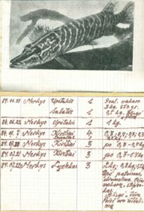 P. Raščiaus žvejo dienoraščio puslapiai. 1984 m.