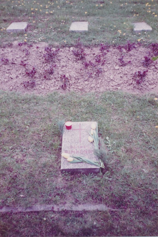 P. Rimkūno kapas. Viena, Austrija. 1990 m.