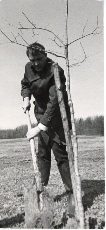 Poetas A. Maldonis sodina ąžuoliuką latvių poeto J. Rainio tėviškėje Varslavanuose. 1968 m.