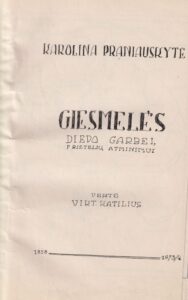 V. Katiliaus rankraštinės knygos viršelis. MLLM 109026