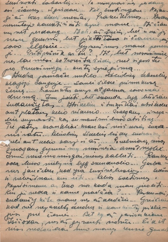 S. Džiugo rankraštis. Kaunas