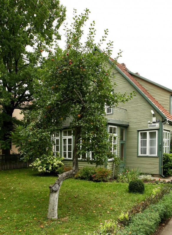 Sruogų namai šiandien