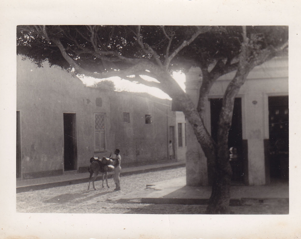 Vietinis gyventojas su asilu. Brazilija, apie 1946–1950 m.