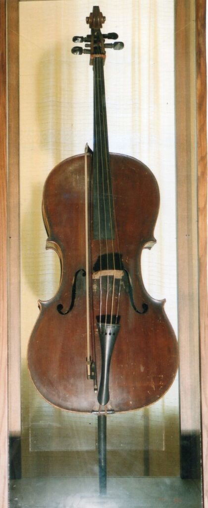 MARIJOS PEČKAUSKAITĖS – ŠATRIJOS RAGANOS VIOLONČELĖ